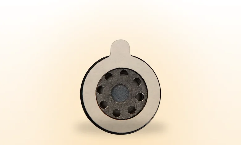 MYLAR SPEAKERS